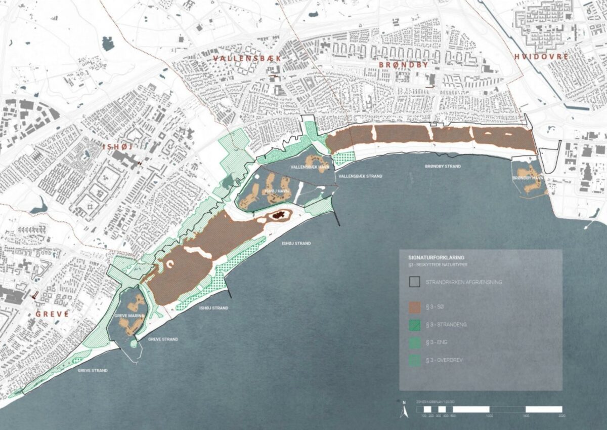 Fra Greve i syd til Hvidovre i nord, skal den 7 kilometer lange strandpark nu revitaliseres med nye faciliteter og bedre klimasikring.