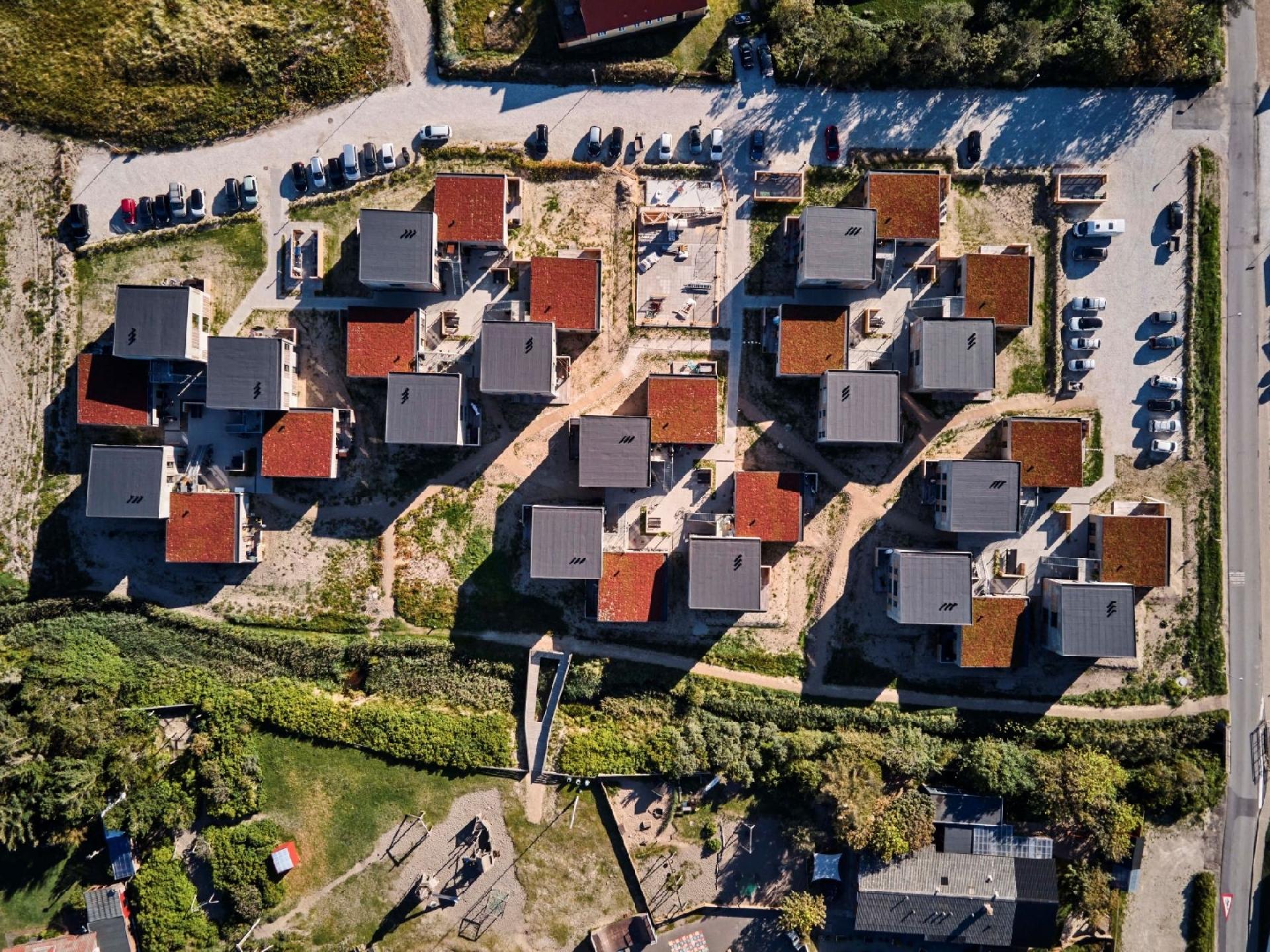 Klyngerne skærmer beboerne. Foto: Martin Bjørn Christiansen.