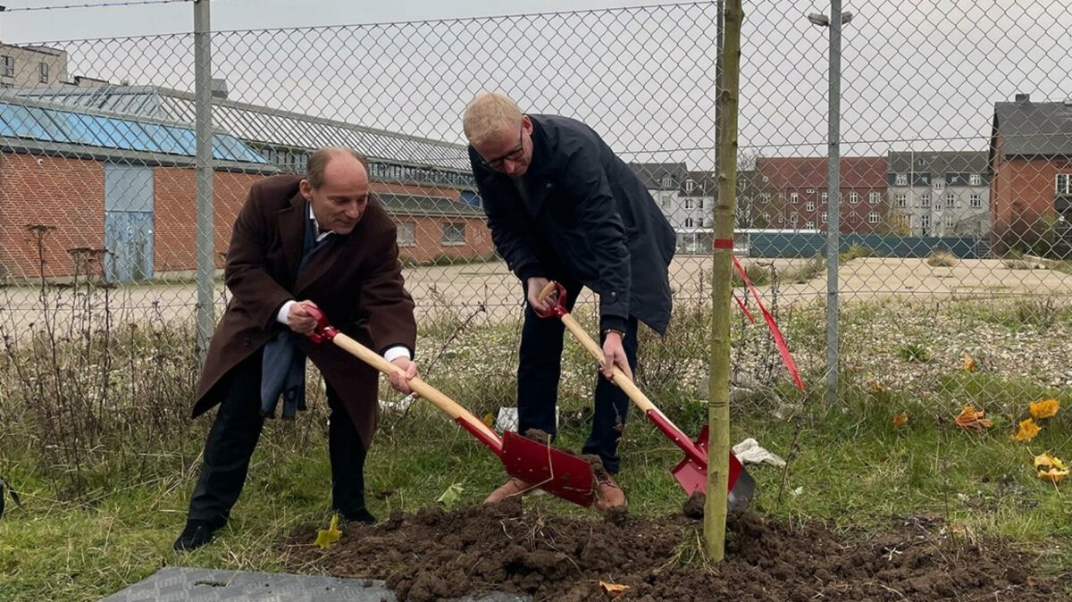 Realdania By & Bygs adm. direktør, Peter Cederfeld, og Fredericias borgmester, Steen Wrist, plantede to træer, hvor 'MiniCO2 Etagehuse' og 'Det effektive byggeri' opføres. Byggerierne skal undersøge, hvordan digitale værktøjer kan bidrage til at effektivisere byggeprocessen og undgå spild, fejl og mangler. Foto: Realdania By & Byg.