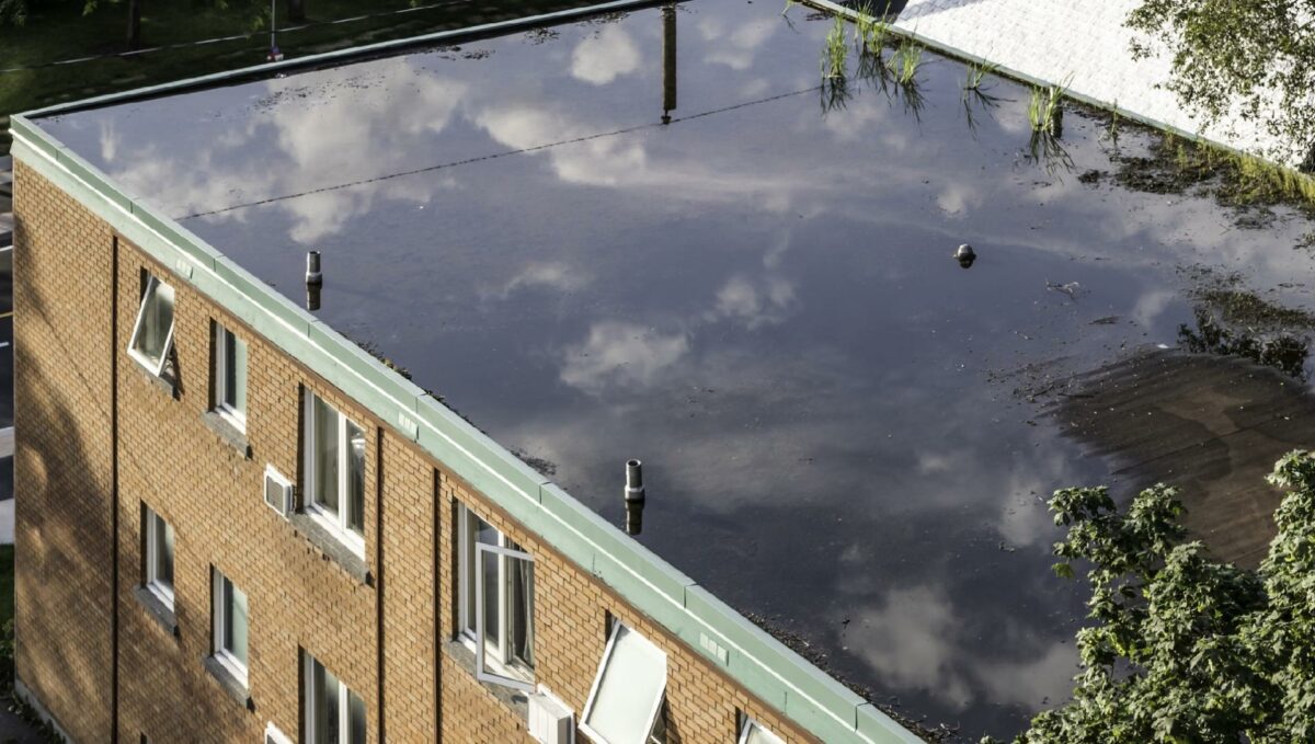 De danske husejere har fået brug for både tagdækkere og kloakmestre, bl.a. pga. de over 55 millimeter regn, der faldt på landsplan den første uge af 2023. Foto: Getty Images