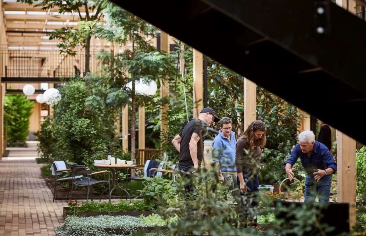 Som i de andre Agorahaver bliver også Roberthaven i Helsinge centreret omkring det grønne hjerte, atriumhaven, med bl.a. bibliotek, fælleskøkken, urtehave, petanquebane, yoga, orangeri og gæstebolig. Foto: Tetris