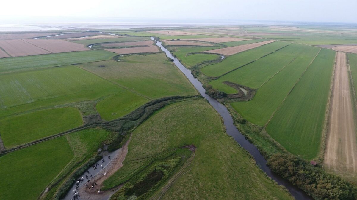 Genopretning af Kongeåens naturlige slyngninger er en af vigtigste dele af naturprojektet. Projektet skal løse det stigende problem med oversvømmelser i området langs åen fra Jedsted Mølle ved Gredstedbro og ud mod Vadehavet.