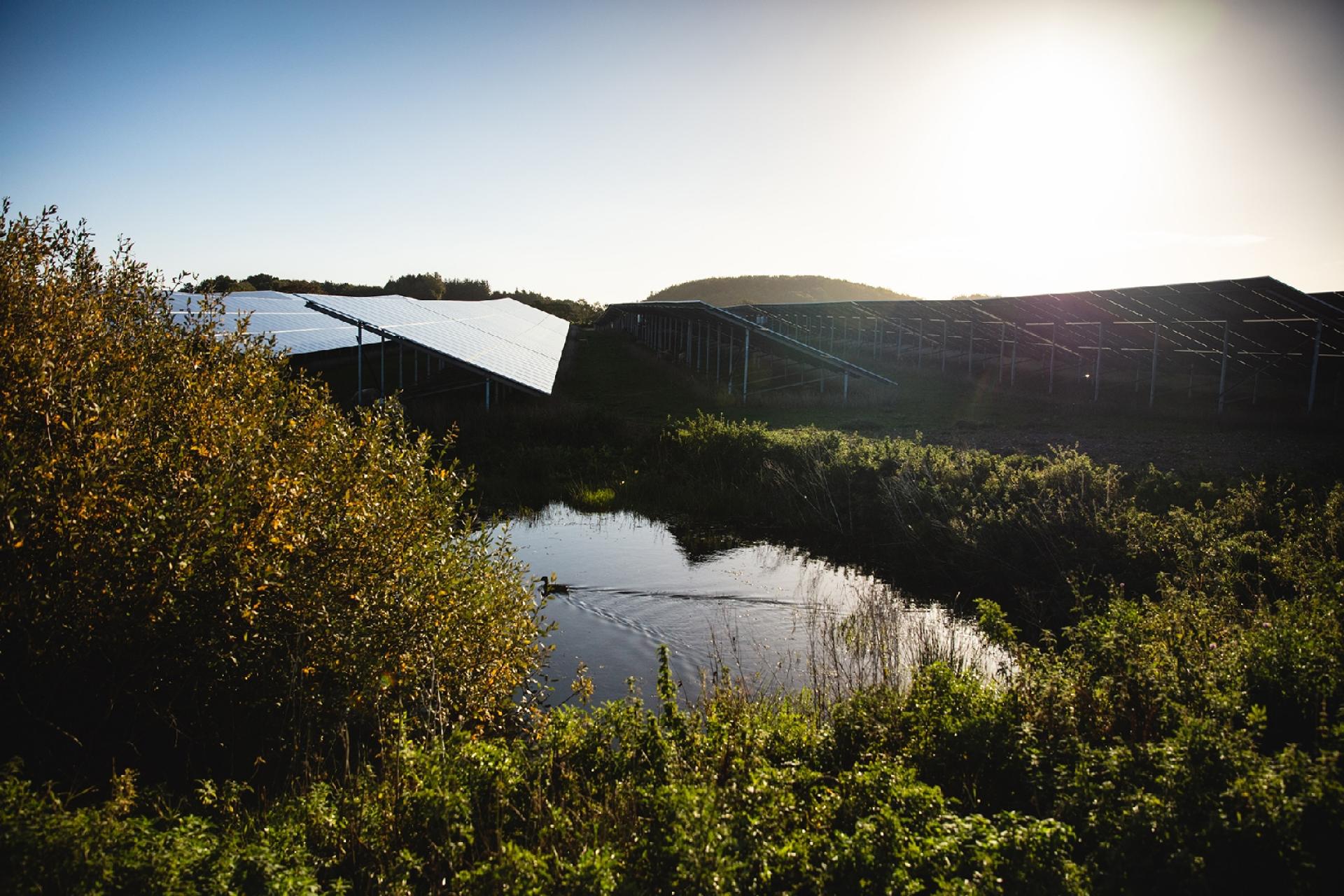 Better Energy har i løbet af året sluttet ti solcelleparker til nettet i Danmark. Det svarer til ca. 340.000 danskeres årlige elforbrug. Flere er på vej i 2023.