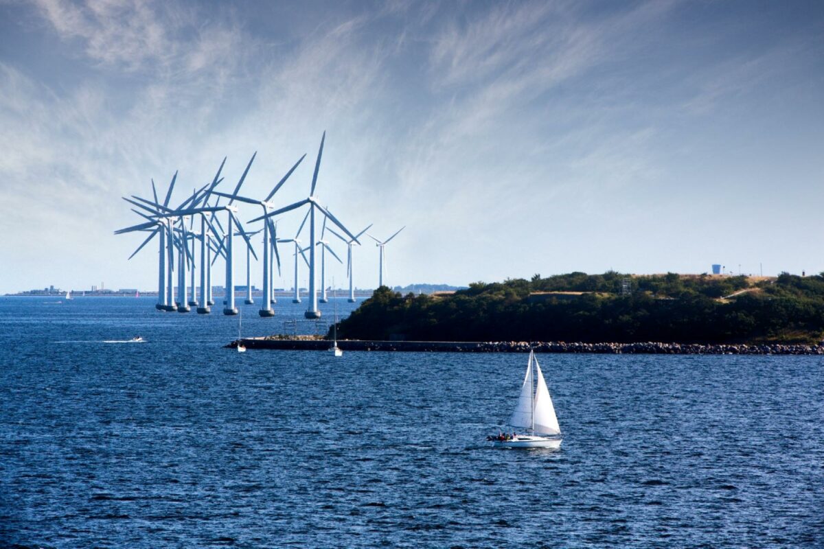 - Udbygningen af den vedvarende energi skal gå hånd i hånd med naturgenopretning og investering i vores natur og miljø, siger miljøminister. Foto: Gettyimages.