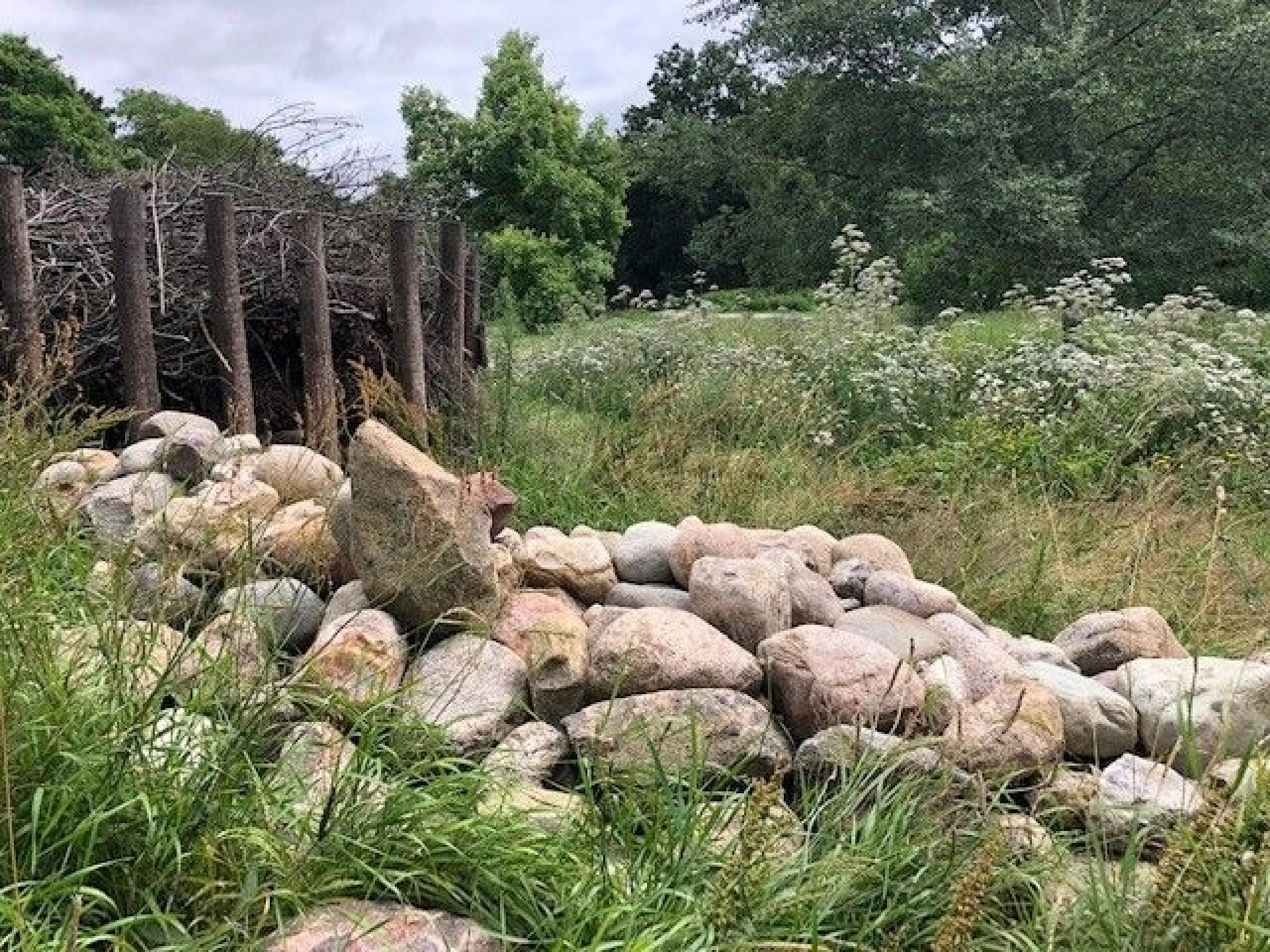 Ved ikke at køre grønt affald som afklippede grene, blade, dødt ved og træstammer på genbrugspladsen kan CO2-aftrykket reduceres. Det grønne affald er dertil en ressource for naturen. Foto: OK Nygaard.