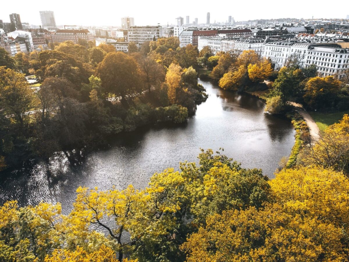 De sidste tre år er der tilsammen afsat 22,6 mio. kroner direkte til biodiversitet. Med budgetaftalen afsættes der nu i alt ca. 50,1 mio. kroner, som skal gøre København endnu mere vild. Foto: Gettyimages.