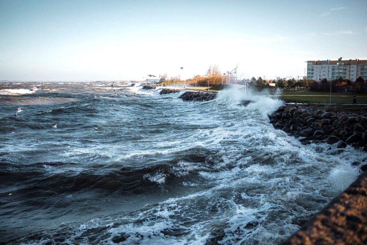 Grundvandsspejlet er over de seneste 30 år steget med op til en meter. Foto Gettyimages.