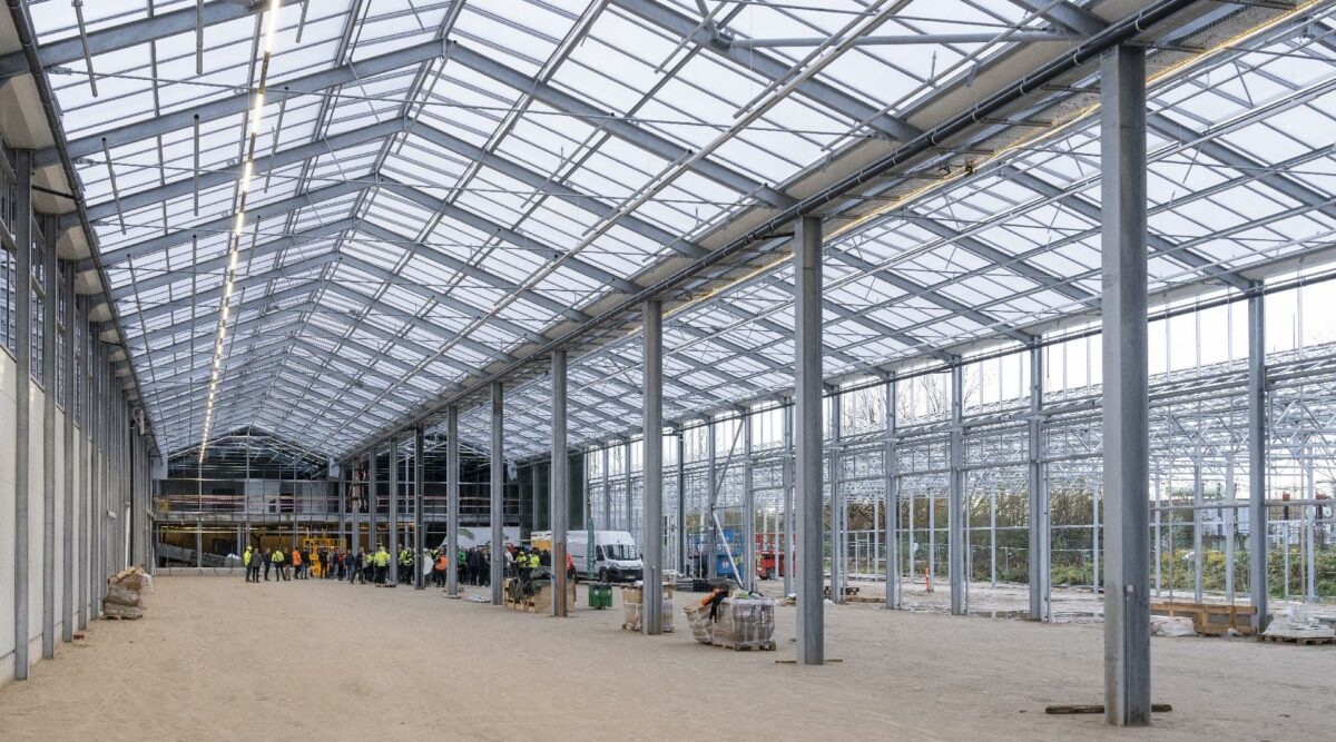 Rejsegildet er netop blevet afholdt i Plantorama Kolding. Nu kan næste fase begynde, når siderne på bygningen skal monteres. Foto: Camilla Rønde/Plantorama