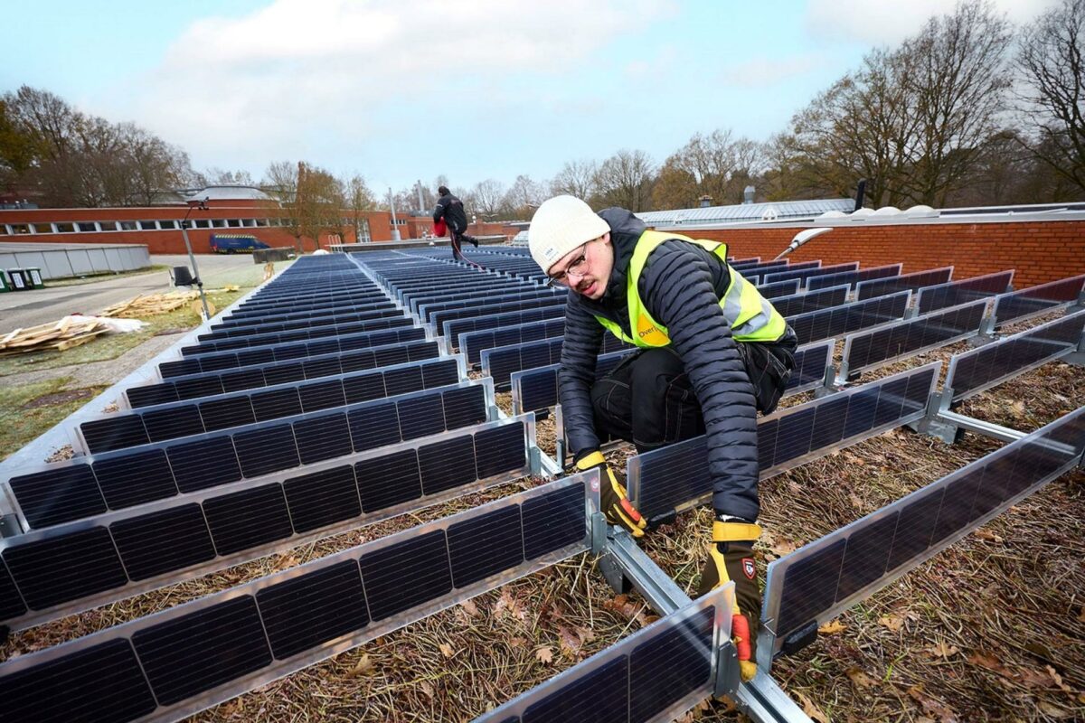 I sidste uge blev montagen af de nyudviklede solceller færdiggjort, og startskuddet er gået til en test, som på sigt kan vise sig at blive vigtig for både vedvarende energi, biodiversitet og klimasikring.