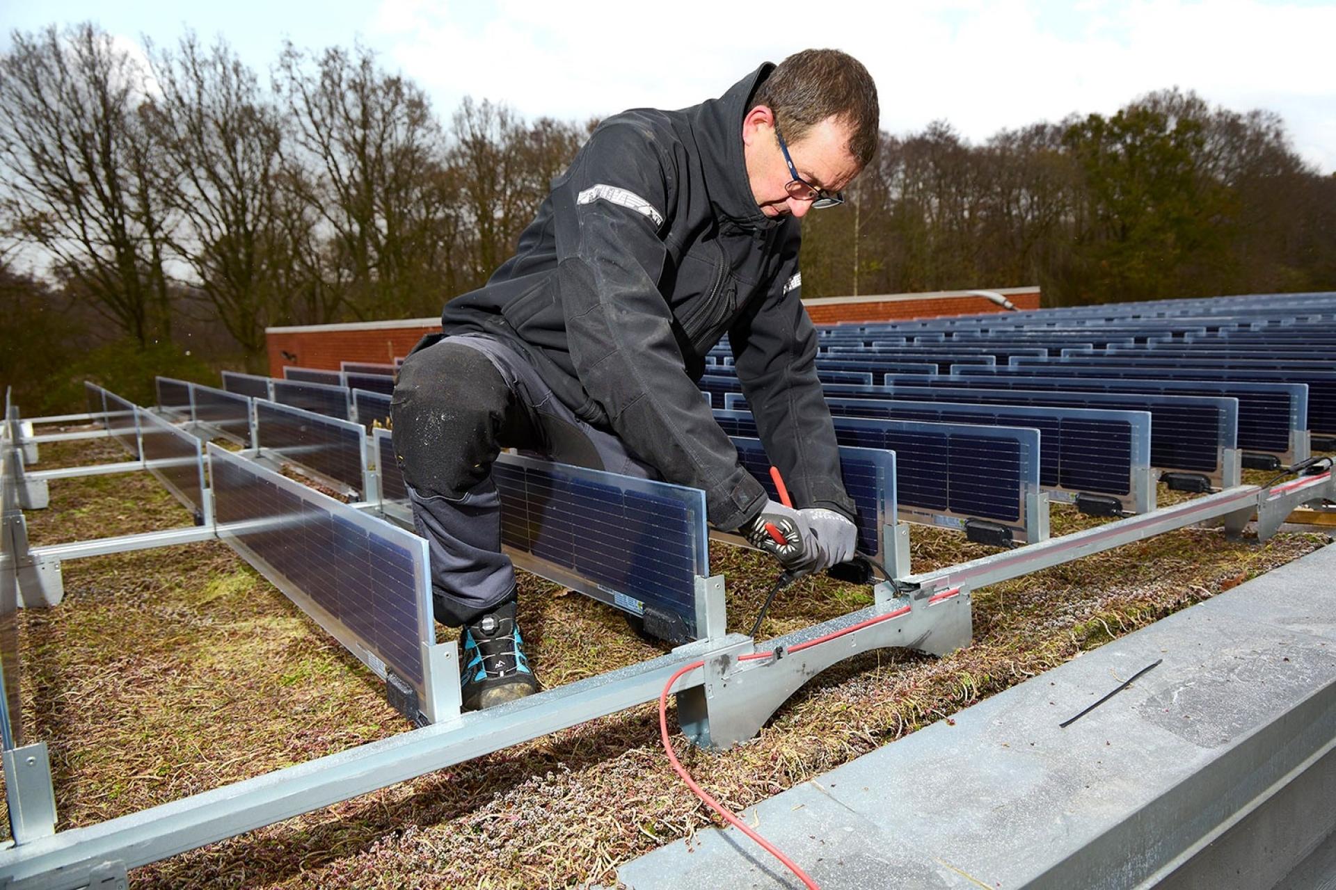 De nyudviklede vertikale solceller er blevet monteret på renseanlægget Mølleåværkets sedumtag, som også er testtag for vandtilbagehold.