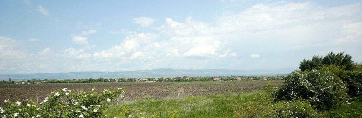 Lige nu ligner område Prolesha, hvad det er - nemlig en bar mark i Bulgarien. Snart vil en bæredygtig landsby dog skyde op på stedet. Med hjælpe fra arkitekterne hos Rum. Foto. Rum.
