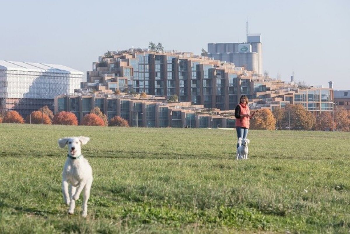 Sådan er udseendet på Bjarke Ingels Groups seneste kreation i Stockholm. Bygningen i baggrunden altså og ikke den firbenede i forgrunden. Foto: BIG.