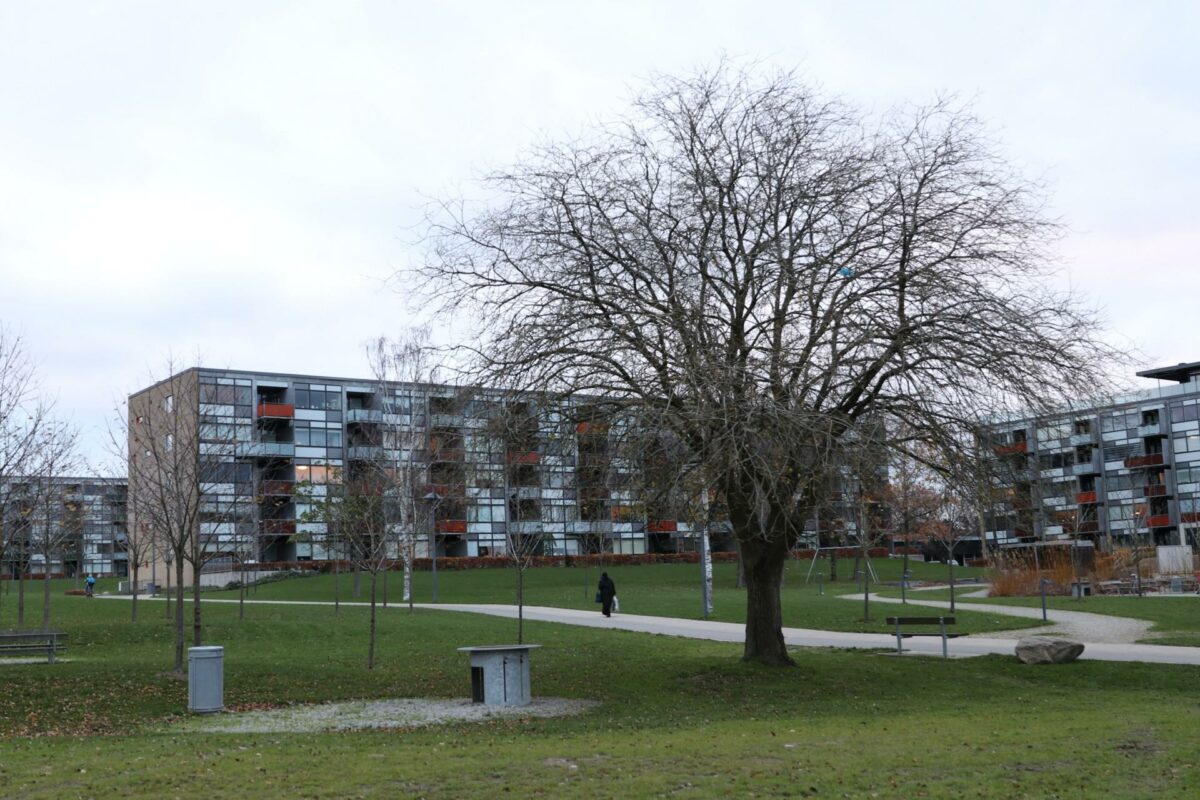 Finlandsparken i Vejle er blevet renoveret for 433 millioner kroner. Nu skal nogle af blokkene måske rives ned. Foto: Emil Filtenborg.