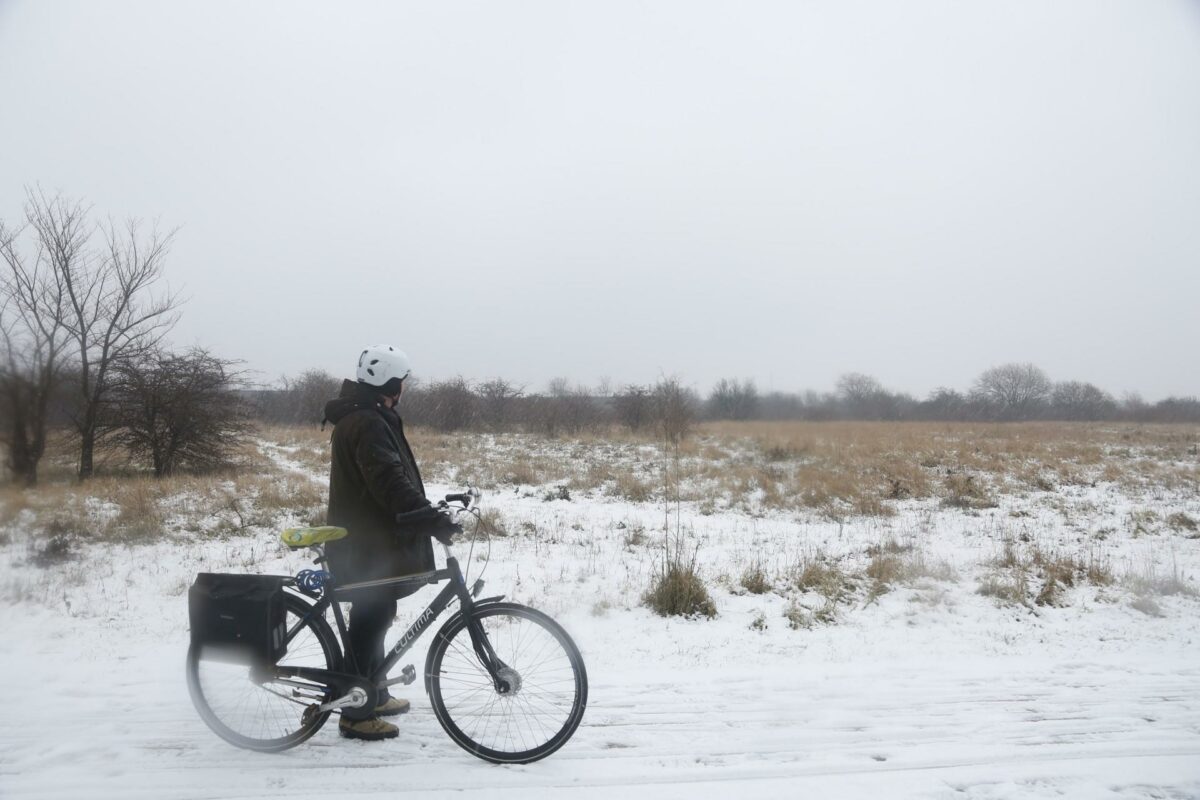 Kaj Thelander Jessen fra det Grønne Knæ ved naturområdet nord for Sydhavnstippen. Foto: Emil Filtenborg.