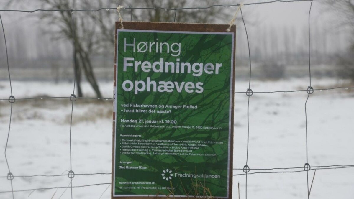 Der var ikke lydhørhed fra myndighedernes side i forhold til at undlade ophævning af fredningerne i København. Nu er By & Havn klar til at udvikle på grundene. Foto: Emil Filtenborg.