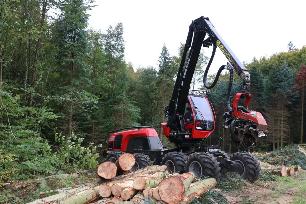 Kun 20 procent af det danske skovareal er FSC-certificeret, og det vil FSC Danmark og Troldtekt lave om på. Arkivfoto: Emil Filtenborg.