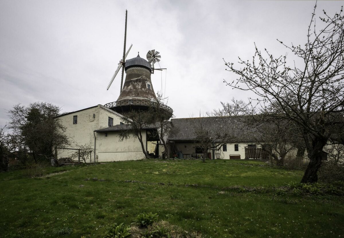 Møllen og magasinbygningen set fra haven med de gamle frugttræer. Foto:Helene Høyer Mikkelsen/Realdania By & Byg.