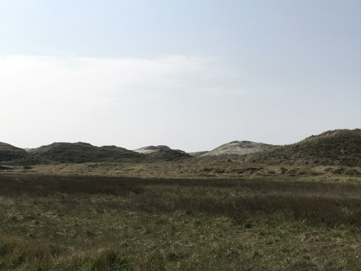 Klitterne pryder store dele af Jyllands vestkyst, og det nye enorme badeland skal passe ind i omgivelserne. Foto: Kim Krasuld.