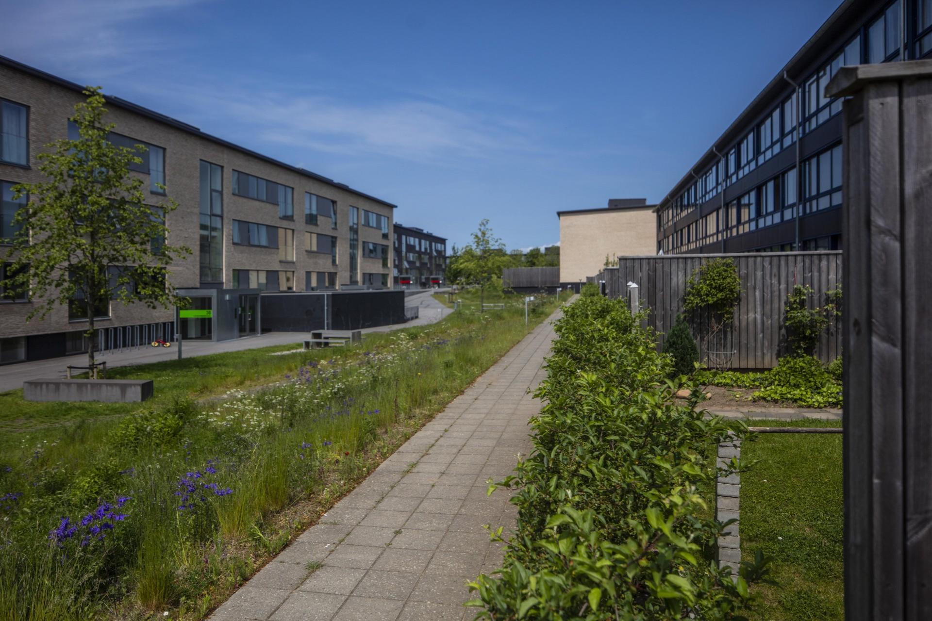 Sønderparken, Fredericia. Foto: Carsten Ingemann.