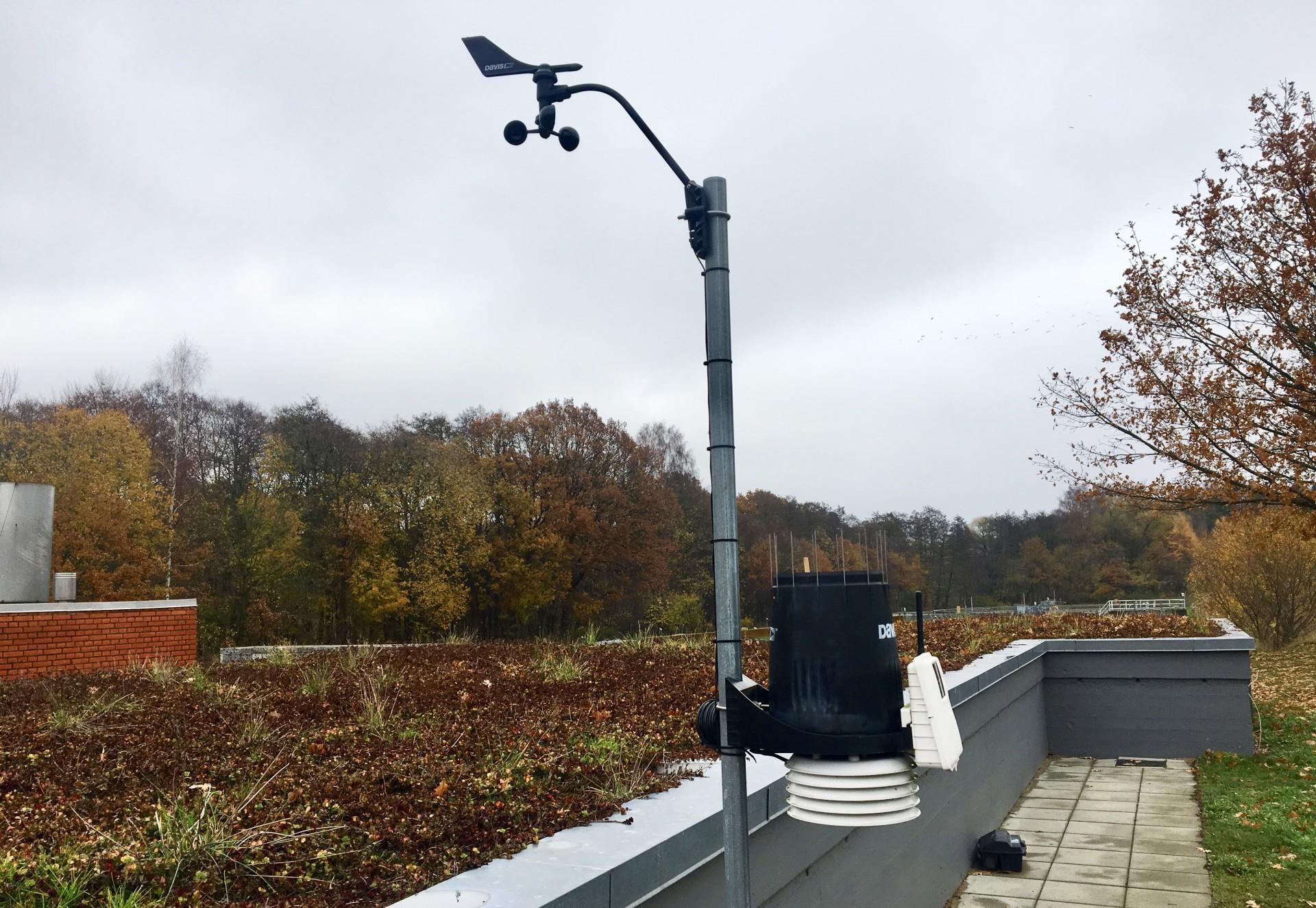 Ved Lyngby-Taarbæk forsyning har Nature Impact siden 2014 lavet afstrømningsmålinger på grønne tage, hvor de tester på to løsninger på fladt tag på henholdsvis 60 cm og 80 cm. Foto: Nature Impact.