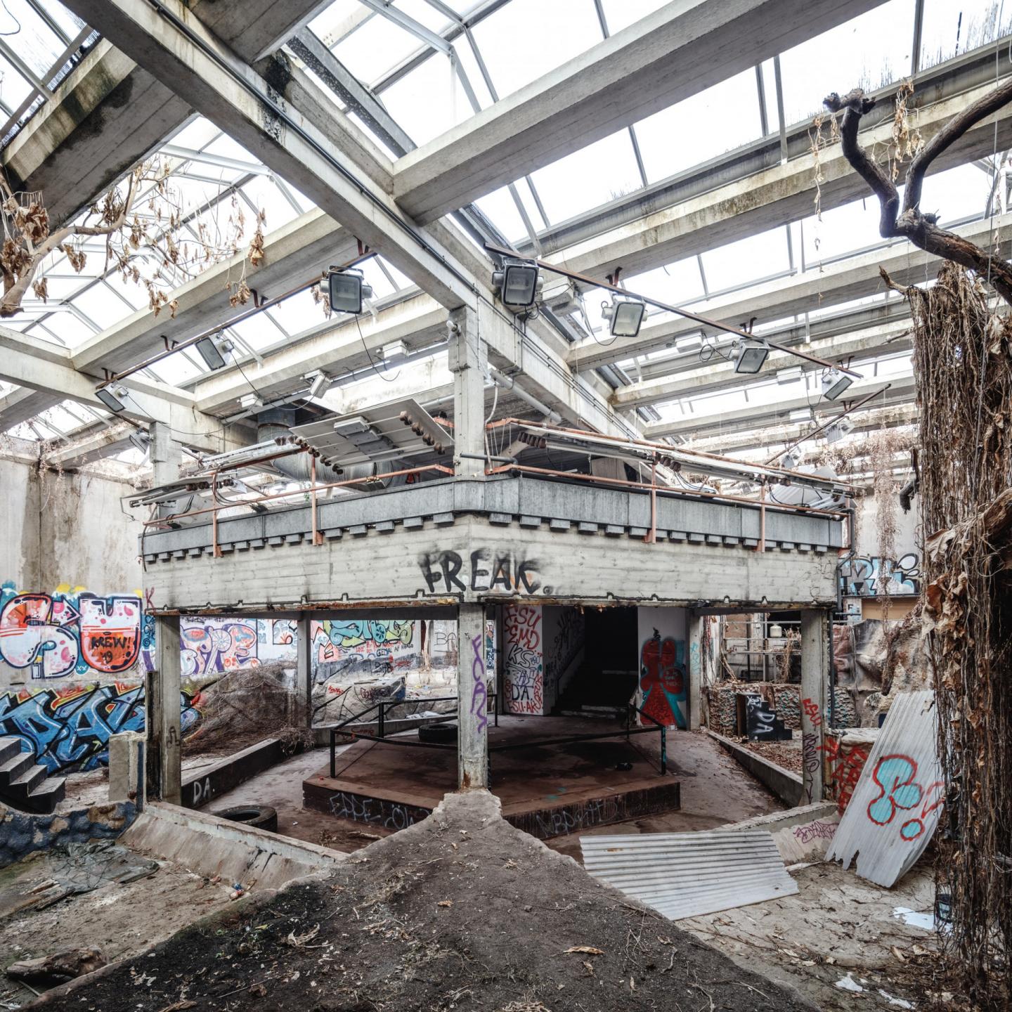 Bygningen er hærget efter små otte år uden brug. Foto: Rasmus Hjortshøj.