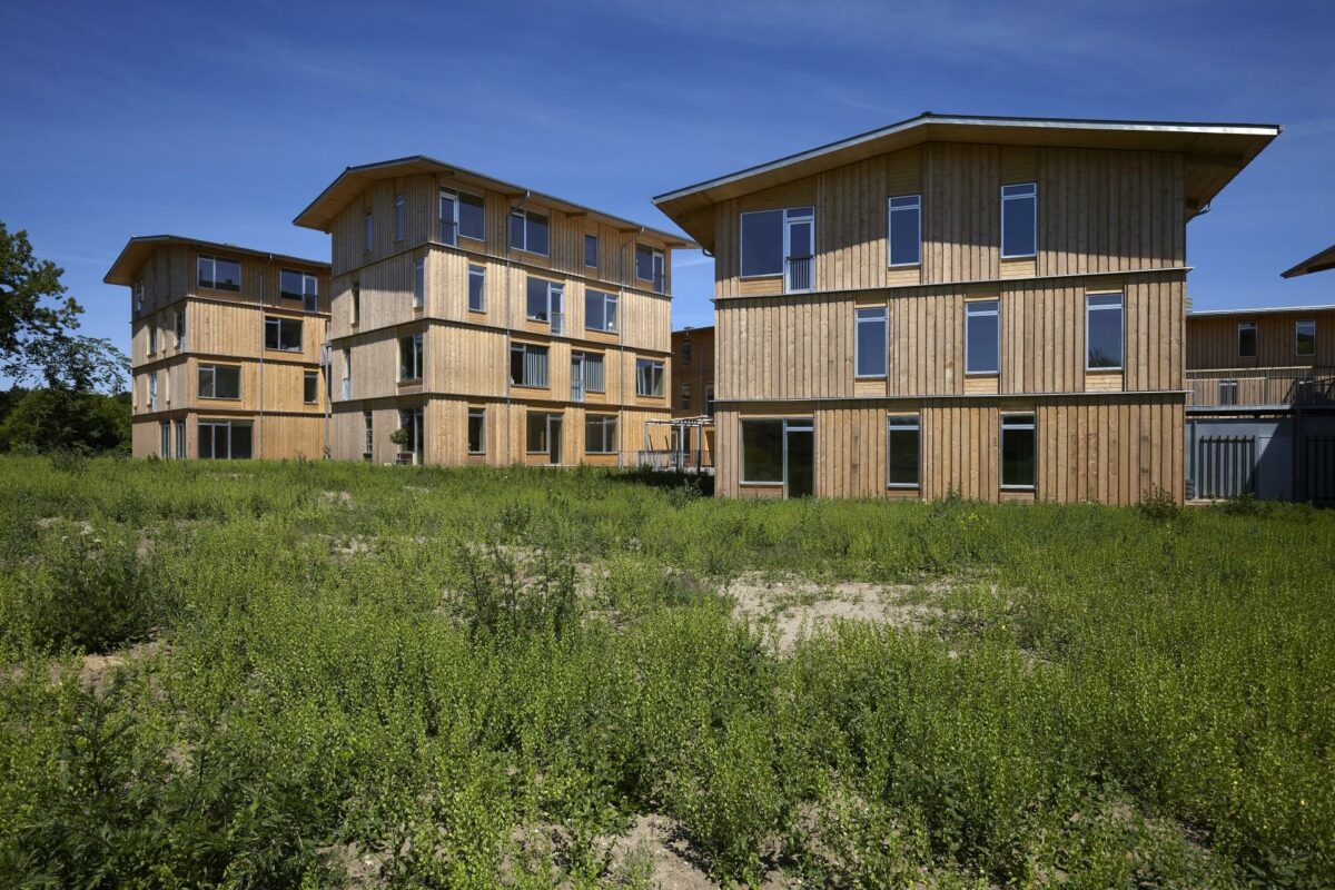 Lisbjerg Bakke er et af de træbyggerier, som ingeniørerne hos Moe har regnet på. Nu har de givet træet sit eget videncenter. Foto: Thomas Mølvig.