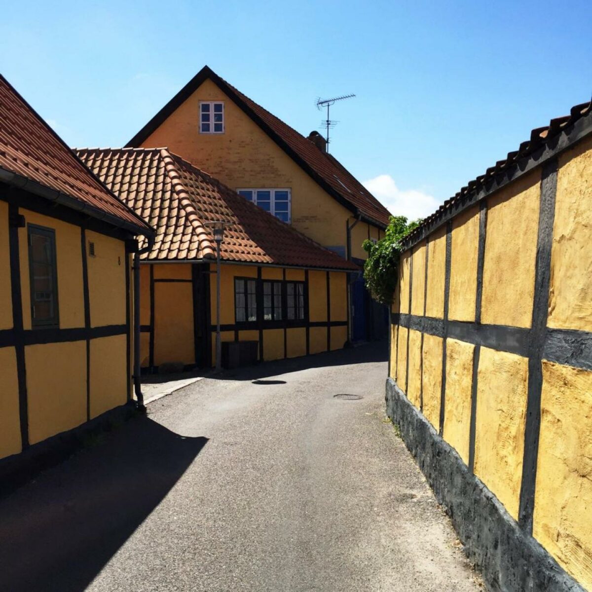 Mange ejere af gamle huse ønsker at bevare bygningens karakteristiske udtryk. Her er håndværkernes mening vigtig for dem. Foto: Realdania.
