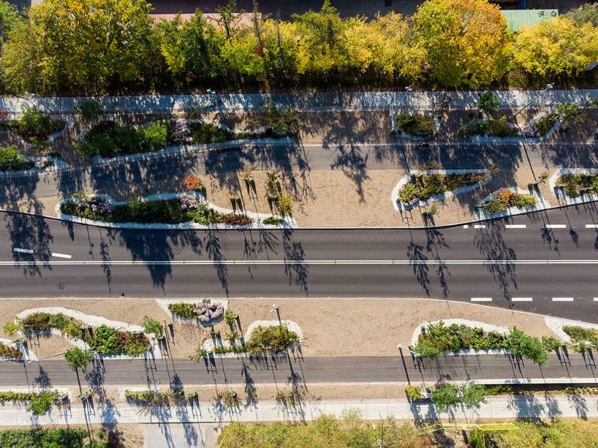 Ballerup Boulevard er ændret fra en firesporet vej præget af høje hastigheder til et grønt parkstrøg. Foto: Marianne Levinsen Landskab.