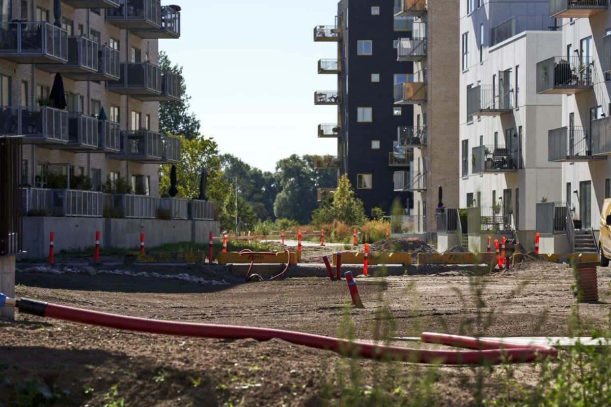 Køge Kysts arbejde med at anlægge den første alminding. Foto: Rune Pedersen.