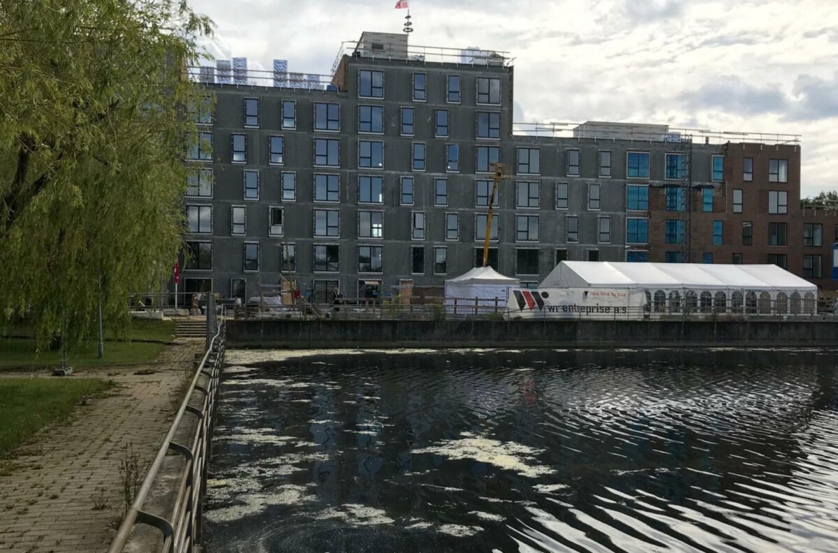 Placeringen lige ved Rådhussøen giver så meget "havudsigt" som man overhovedet kan få i Albertslund. Foto: Torben Jastram.