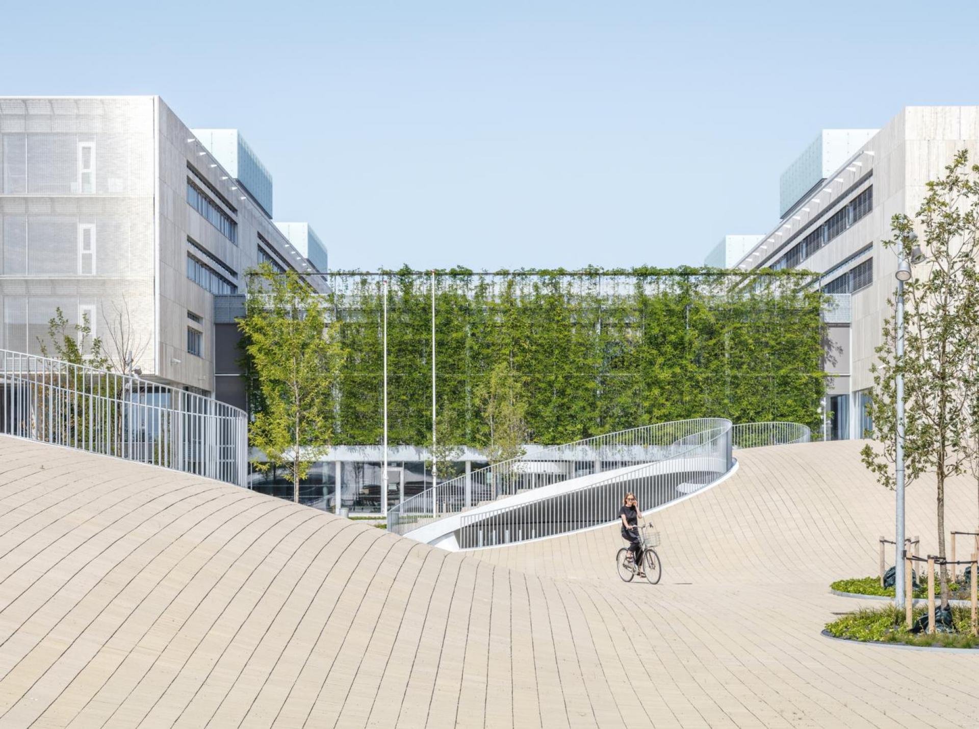 Pladsen ligger ved Københavns Universitets Søndre Campus ved Islands Brygge. Foto: Rasmus Hjortshoj - Coast.