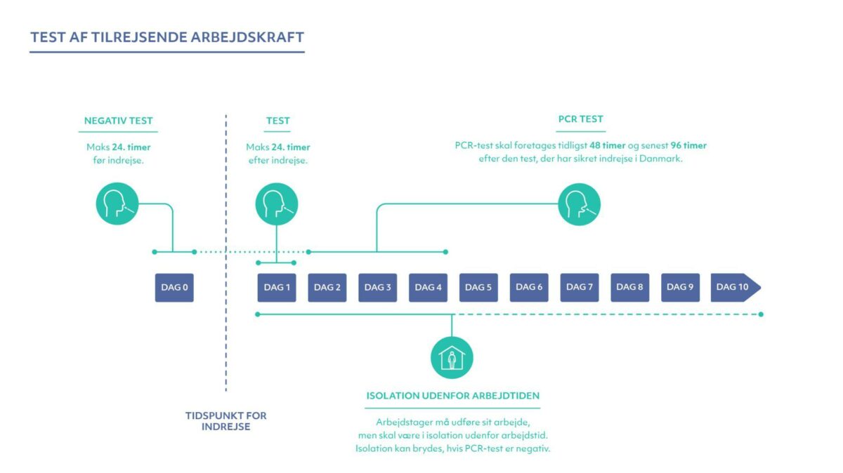 Tre test og op til 10 dages isolation, når man som arbejdstager ankommer til Danmark. Grafik: Arbejdstilsynet.