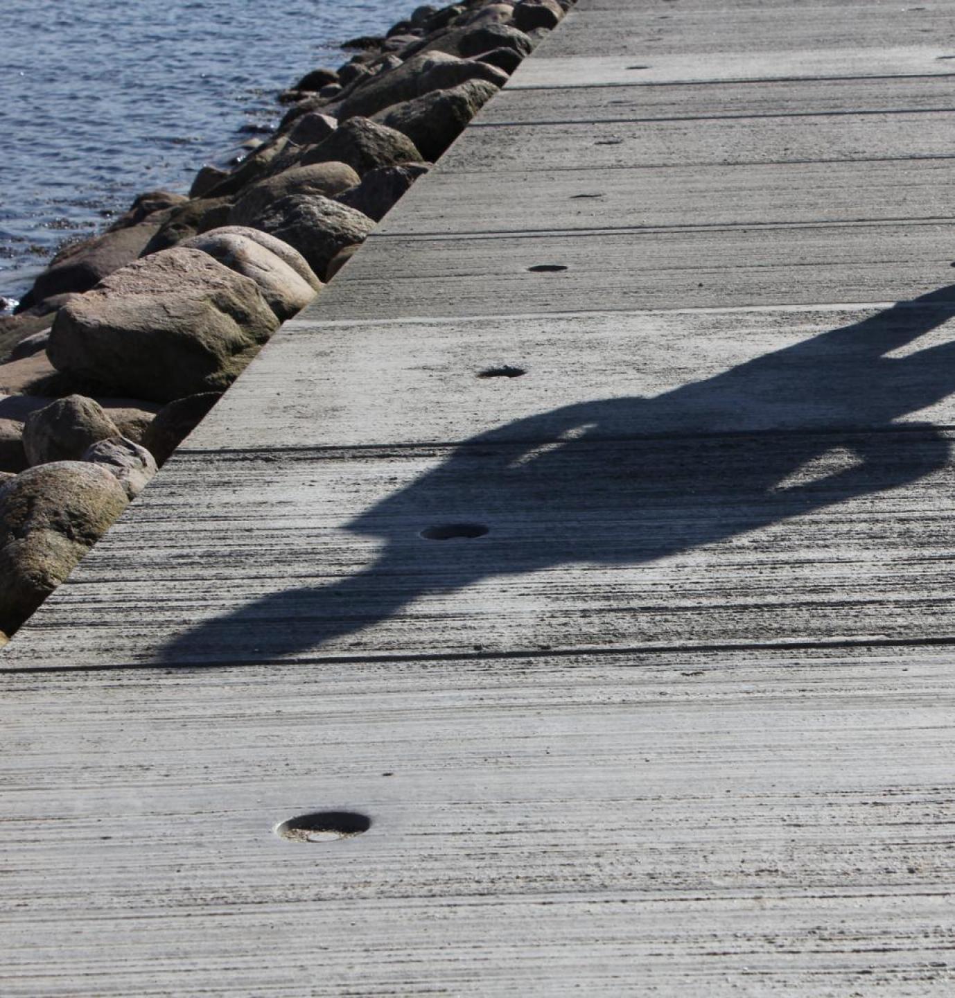 En mole i Vejle vand 3. præmien. Foto: Lars Holm Andersen.