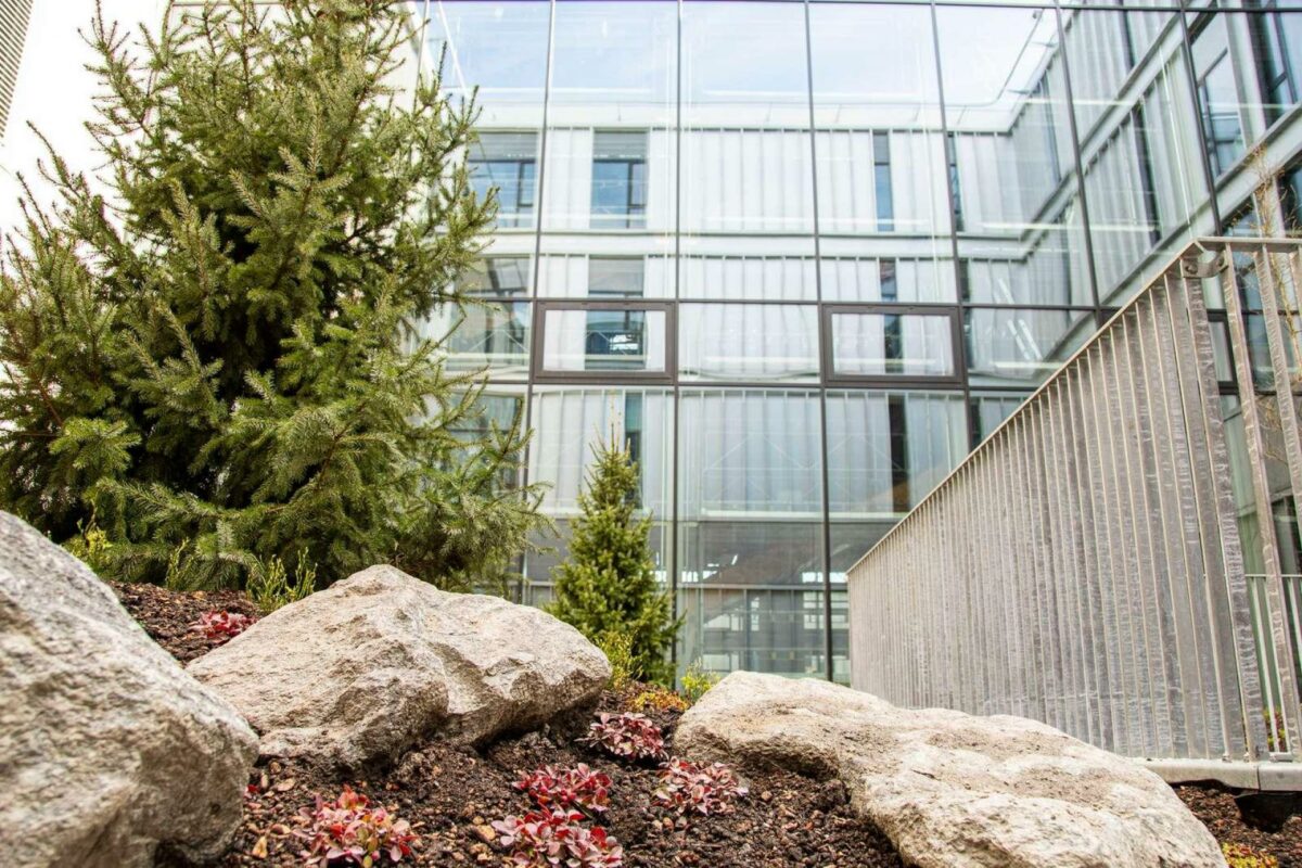 Bjerghaven byder på sten og bakker - men alt er let og træerne vokser på små høje, så der er plads til rødderne i det tynde muldlag. Foto: Hvidovre Hospital.