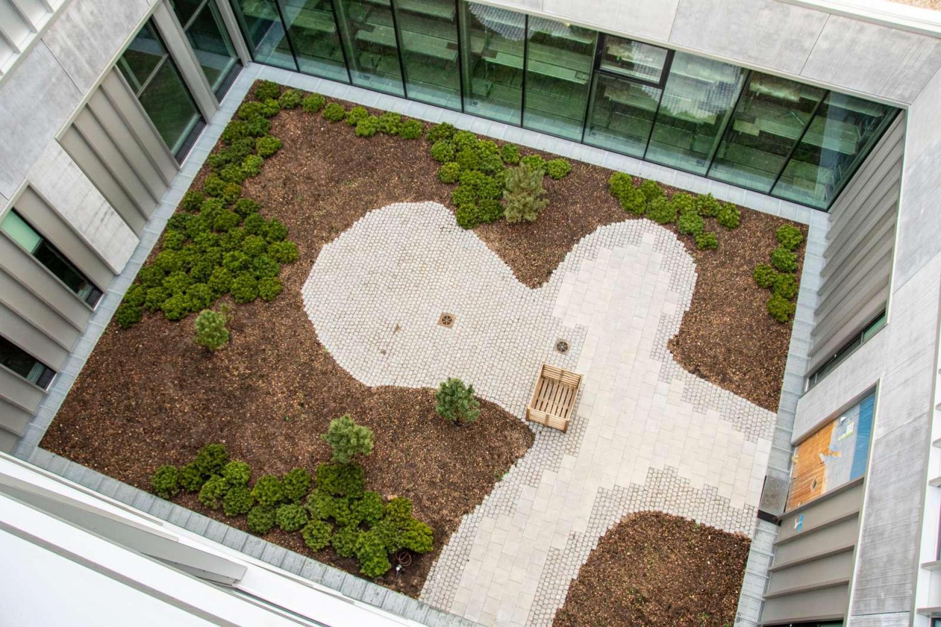Et fyrrekrat er på vej i en af hospitalets gårdhaver. Foto: Hvidovre Hospital.