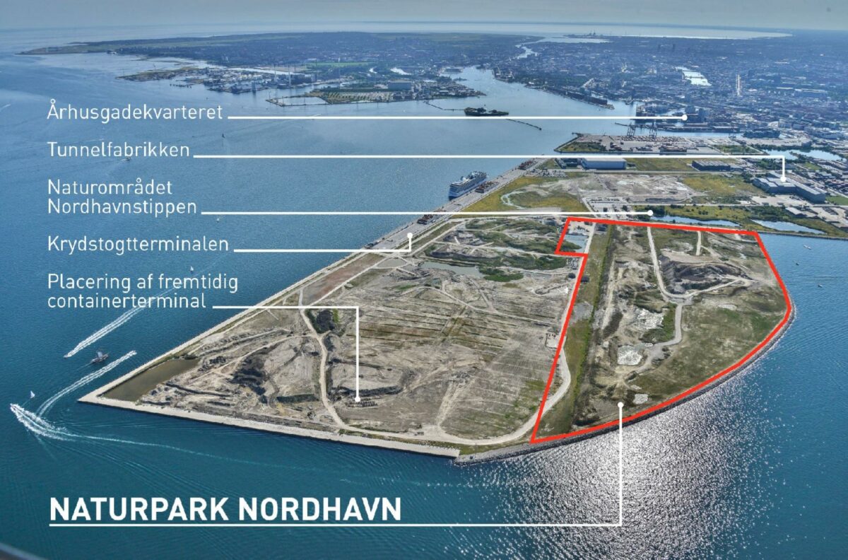 Med naturparken i Nordhavn får københavnerne et nyt grønt fristed med udsigt over Øresund.