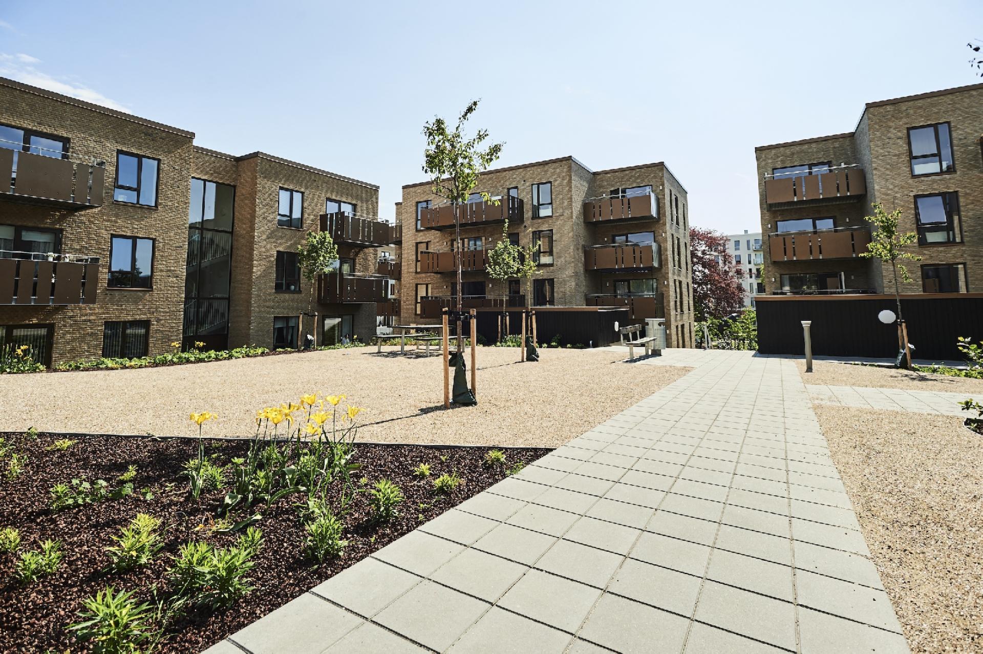 Tornhøjgårdparken.