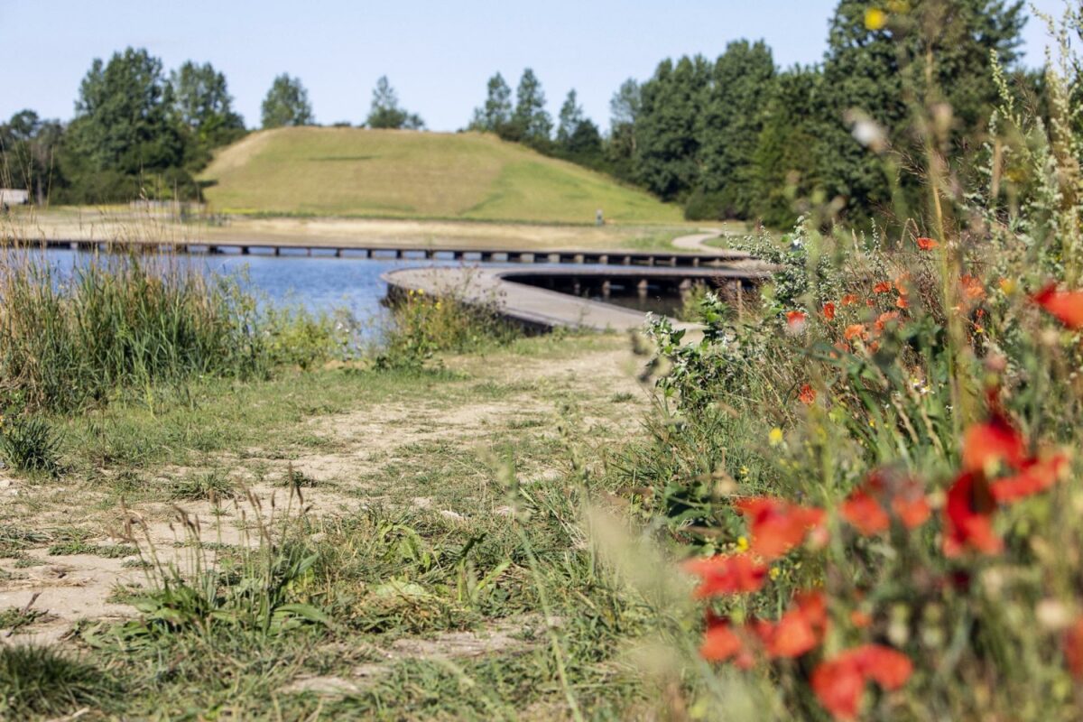 OKNygaard har i samarbejde med bygherren Novafos gravet mere end 33.000 m3 jord af og etableret et stort græsklædt regnvandsbassin ved et klimatilpasningsprojekt i Haraldsminde-området i Ballerup Kommune.