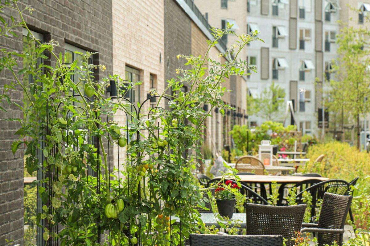 Grønne områder og blandede, primært DGNB-certificerede boligformer har gjort Gartnerbyen attraktiv. Således er der snart ikke flere ledige byggefelter tilbage i bydelen. Foto: Skjøde