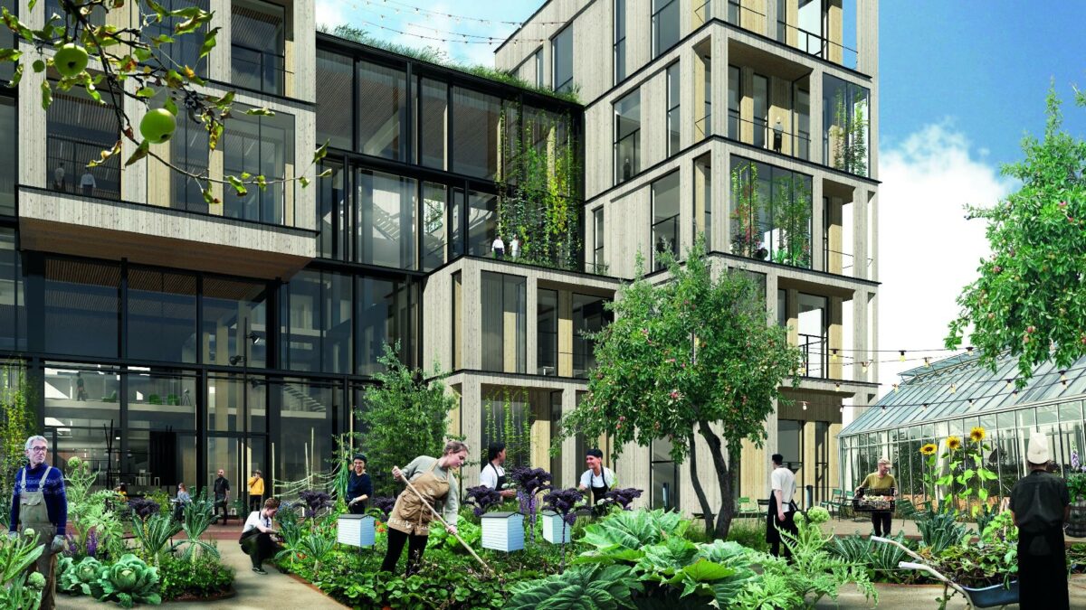 Den kommende skolebygning i træ og skolens have set fra øst. Visualisering: Juul /Frost Arkitekter.