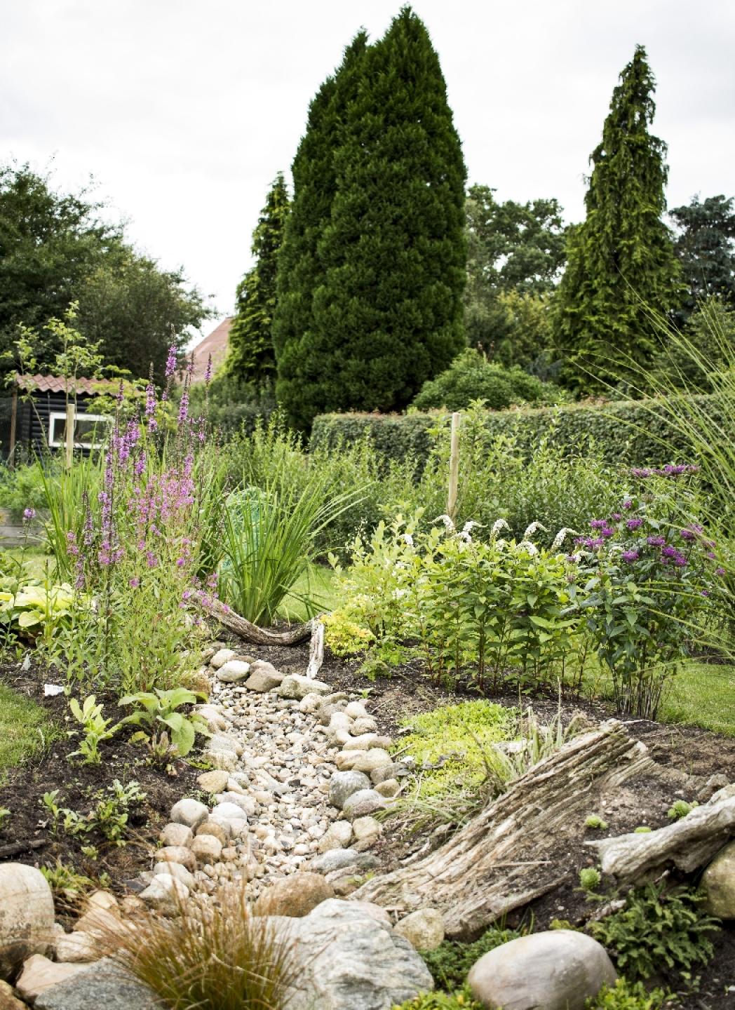 Med lokal nedsivning på private parceller bliver vandet en ressource i stedet for et problem. Her endnu et regnvandsbed i Viborg.