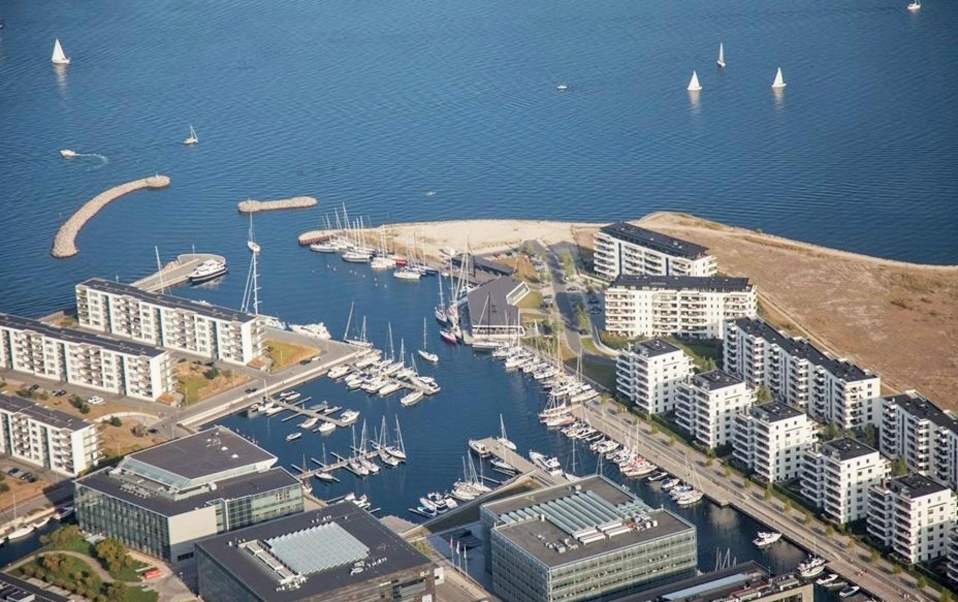 Efter adskillige år som projektchef på Islandsbrygge Havnekaj rykkede Martin Palmquist ud til den anden ende af Københavns Havn, Tuborg Havn, hvor han var ansvarlig for NCC's store boligprojekter.