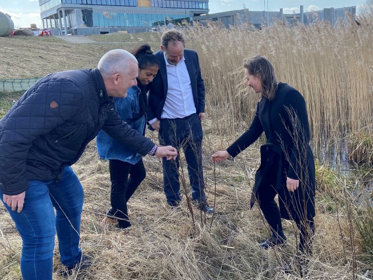 Fra venstre: Projektchef Jørgen Frank, projektleder og DGNB konsulent Nireka Yogendran, CEO Carsten Raundahl og biolog/forsker Kristine Engemann Jensen fra Raundahl & Moesby.