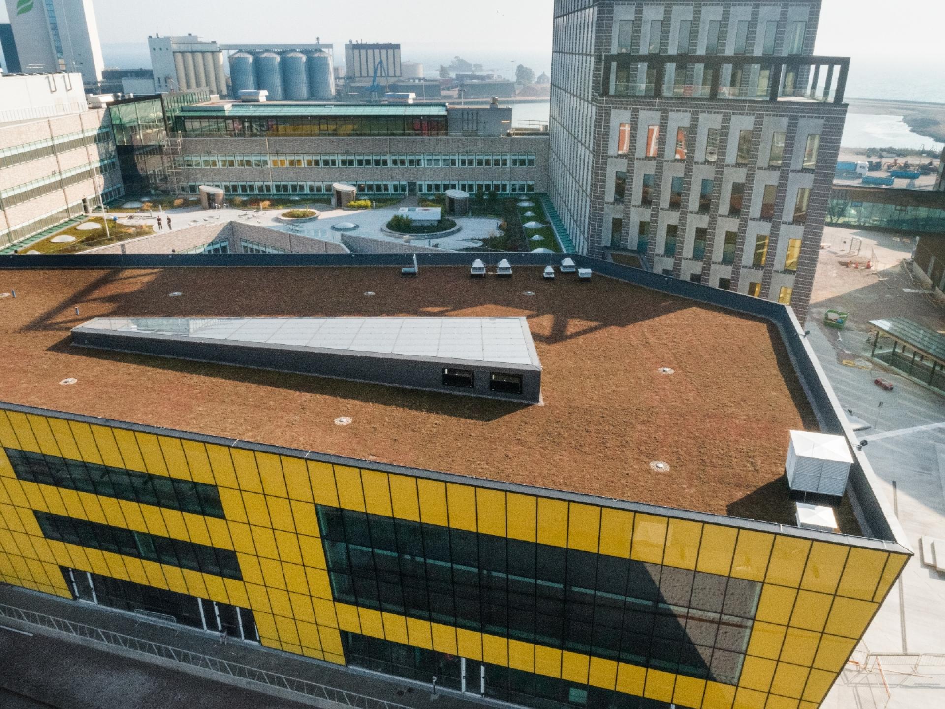 BLÜCHER Green Roof installeret på Linnéuniversitetet i Kalmar, Sverige