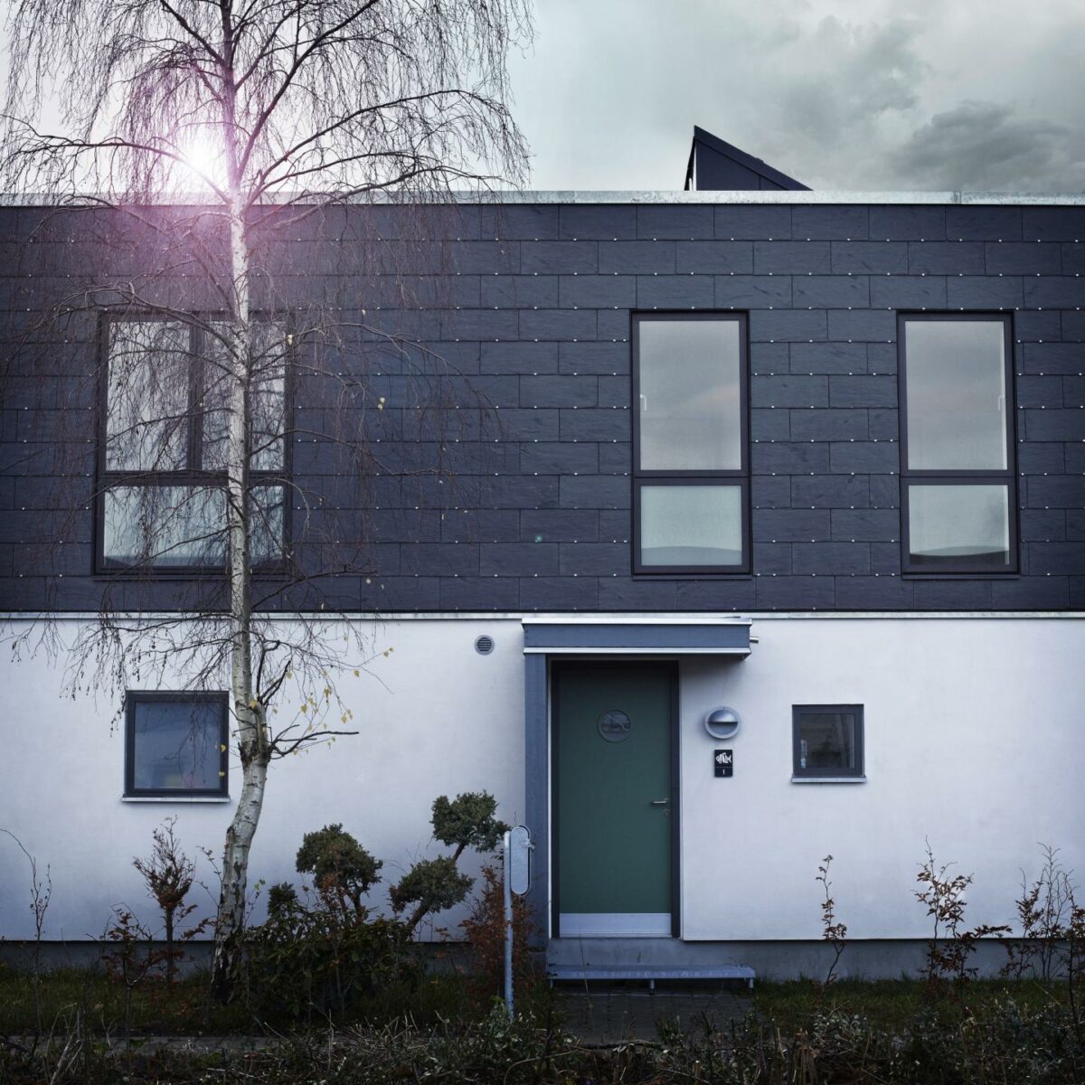Et af de nye lavenergihuse i Albertslund Syd. Foto: Klaus Vedfelt.