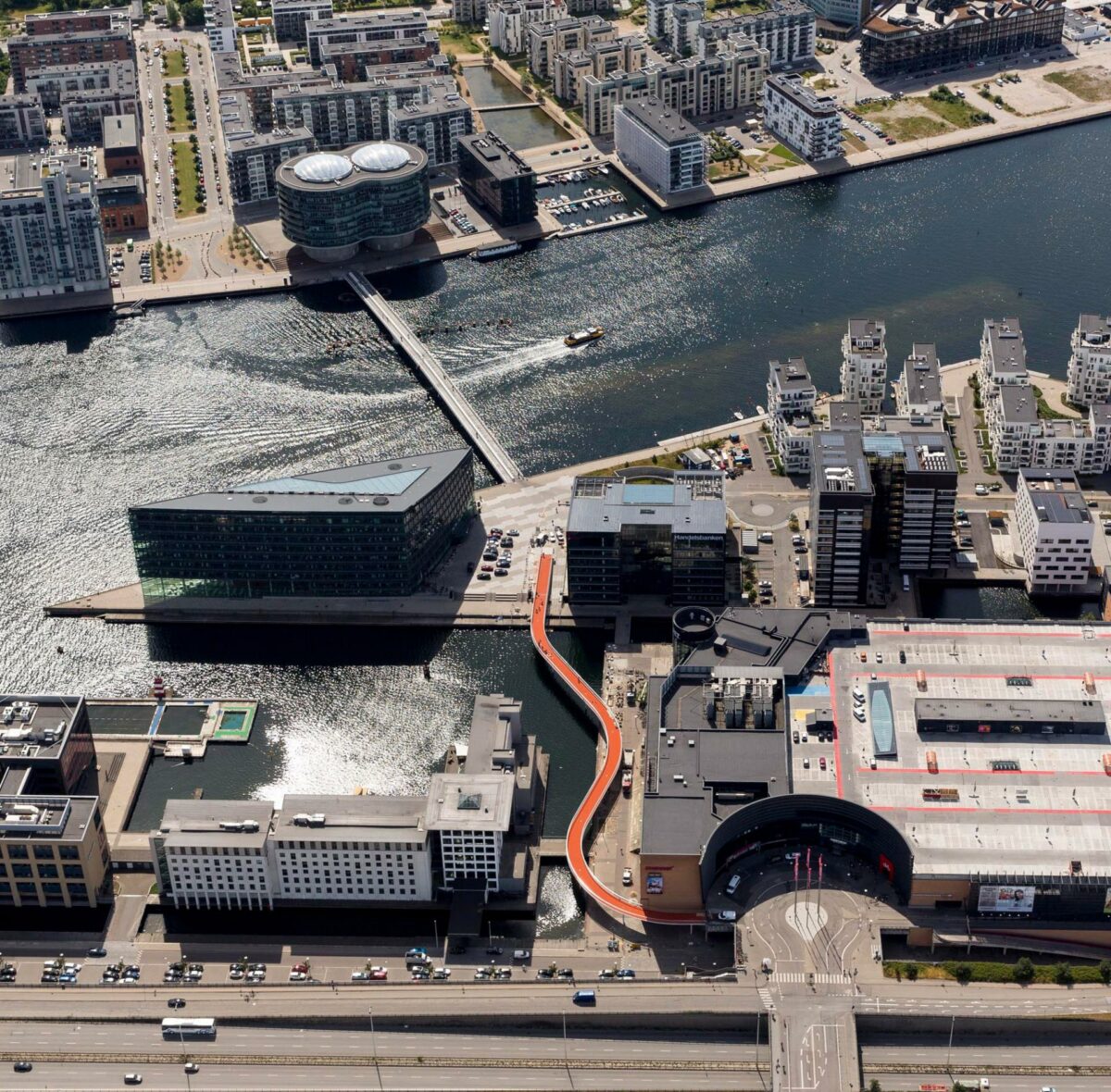 Cykelslangen vandt årets Store Arne.