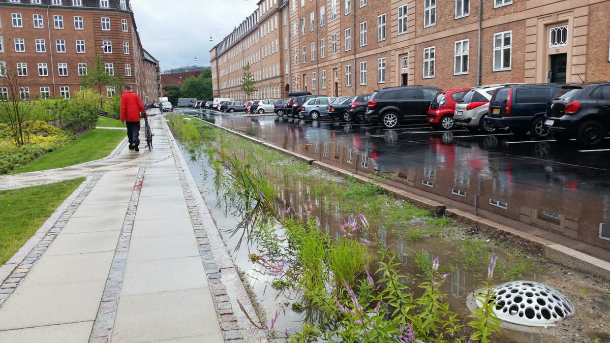 På Tåsinge Plads er der anlagt kantbede med filtermuld, der opsamler og renser vandet fra vejen. Foto: Orbicon.