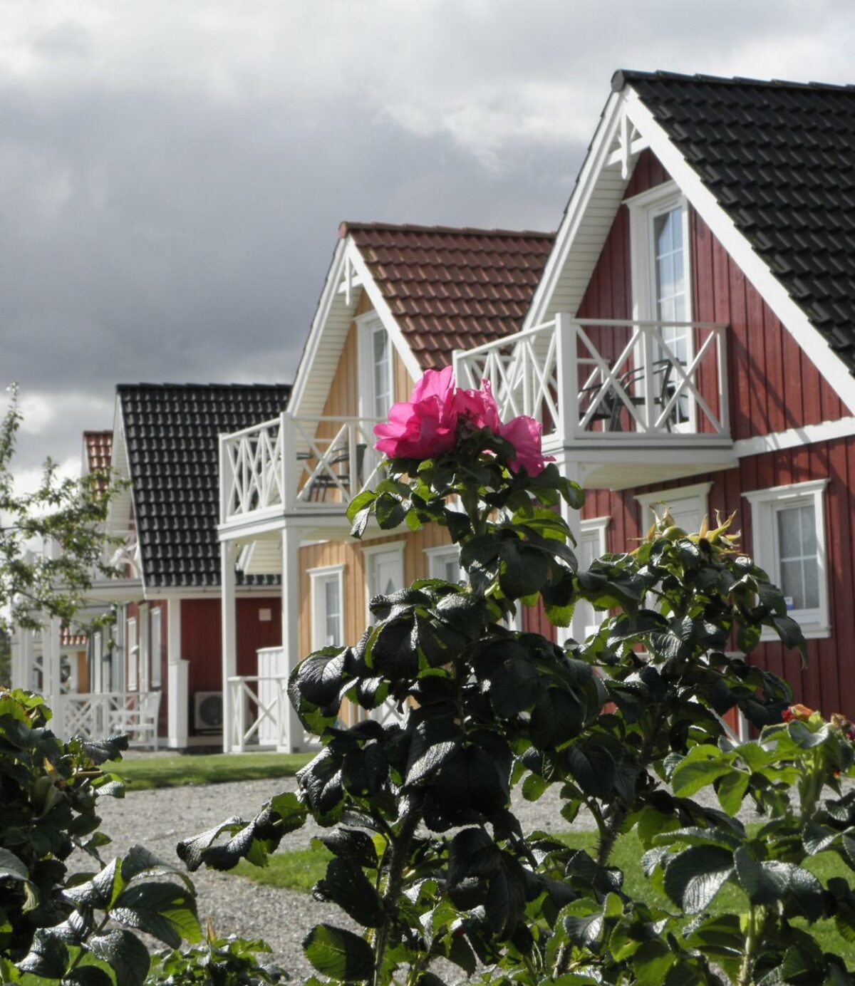 Der skal bygges mere i træ i Danmark, lyder opfordringen fra tænketanken Chora Connection. Foto: Colourbox.