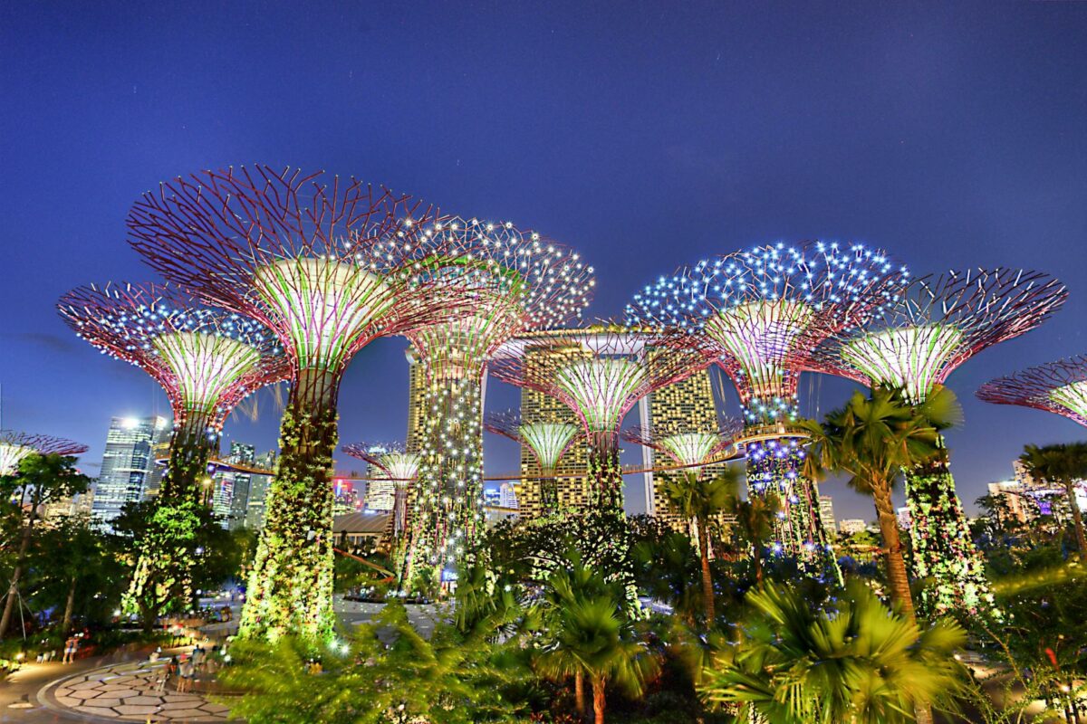 I Singapore danner en gruppe kunstige supertræer rammerne for byparken 'Gardens by the Sea'. Foto: Ulrika Eriksson.