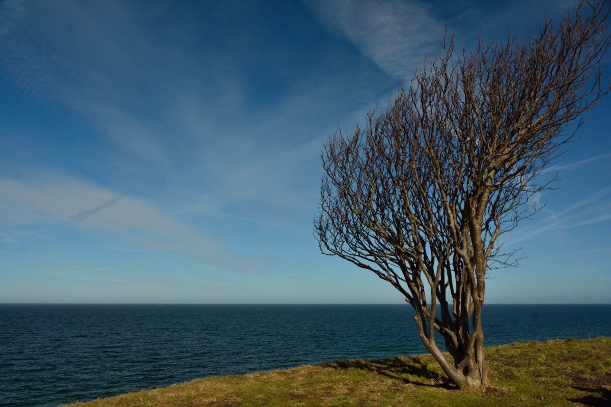 Selv om en bro over Kattegat har lange udsigter, ønsker Venstres trafikordfører, Kristian Pihl Lorentzen, at der laves en langsigtet plan for dansk infrastruktur. Foto: Colourbox.